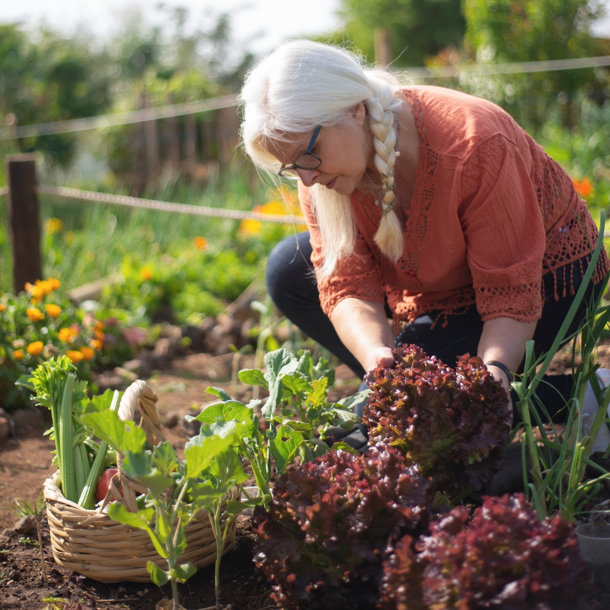 Minerales Individuales asociados a una alimentación natural y hábitos conscientes