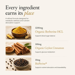 ACEWORKZ ramas de canela Ceylán orgánica junto a cápsulas, realza sabor natural