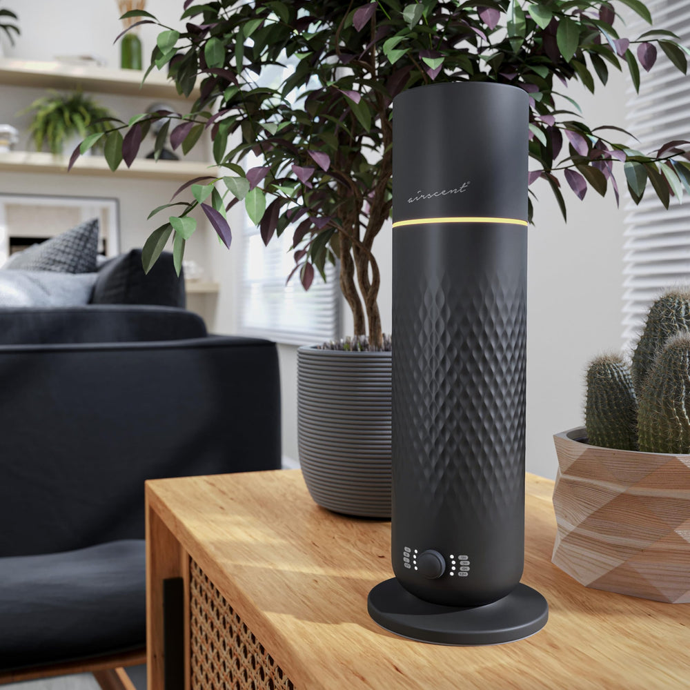 Air-Scent Waterless Diffuser includes a 120 mL bottle for immediate aroma