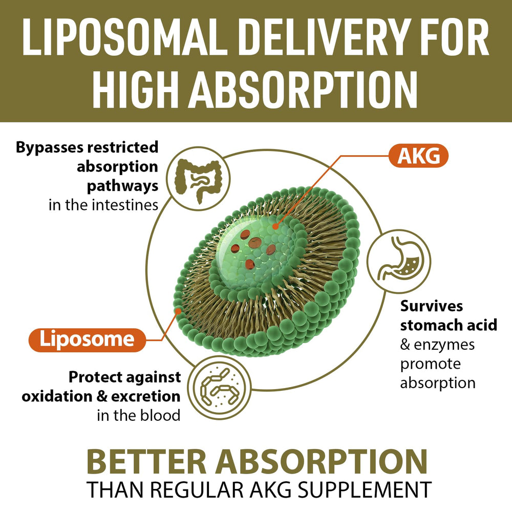 AJAXERRUE detalle liposomal de la superficie para mostrar protección y absorción mejorada