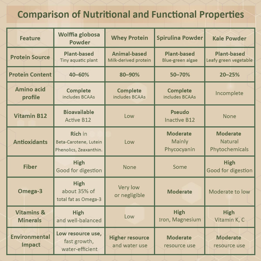 AMA GROW Wolffia, en ensalada como complemento nutritivo para comidas frescas.