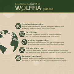 AMA GROW Wolffia, etiqueta sostenible que destaca cultivo responsable y pureza.
