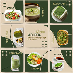 AMA GROW Wolffia integrada en ensalada para enriquecer hierro y calcio