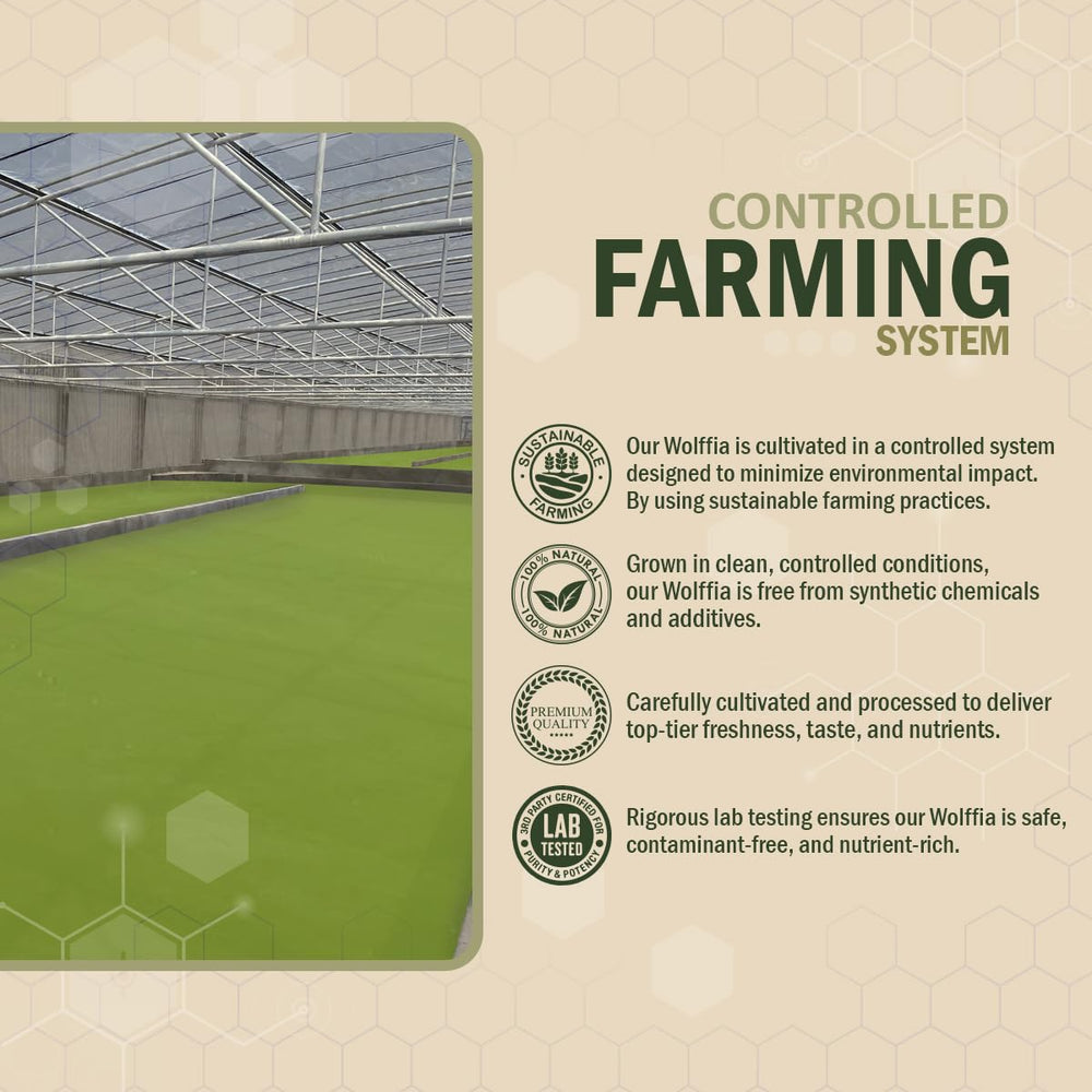 AMA GROW Wolffia, uso diario práctico para un impulso nutricional.