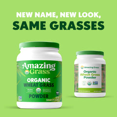 Amazing Grass primer plano del polvo de hoja-entera mostrando textura fina