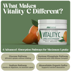 American Nutriceuticals textura del polvo, aspecto fino y puro