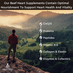 Ancestral Supplements botella sobre encimera representando uso diario