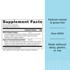 Ancient Nutrition primer plano de cápsulas destacando textura y pureza