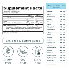 Ancient Nutrition textura del polvo en primer plano, aspecto fino y soluble