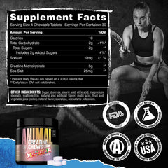 Animal producto en bolso de entrenamiento para solución cómoda diaria