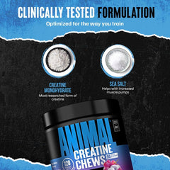 Animal creatine chews etiqueta nutricional mostrando 5 g creatina