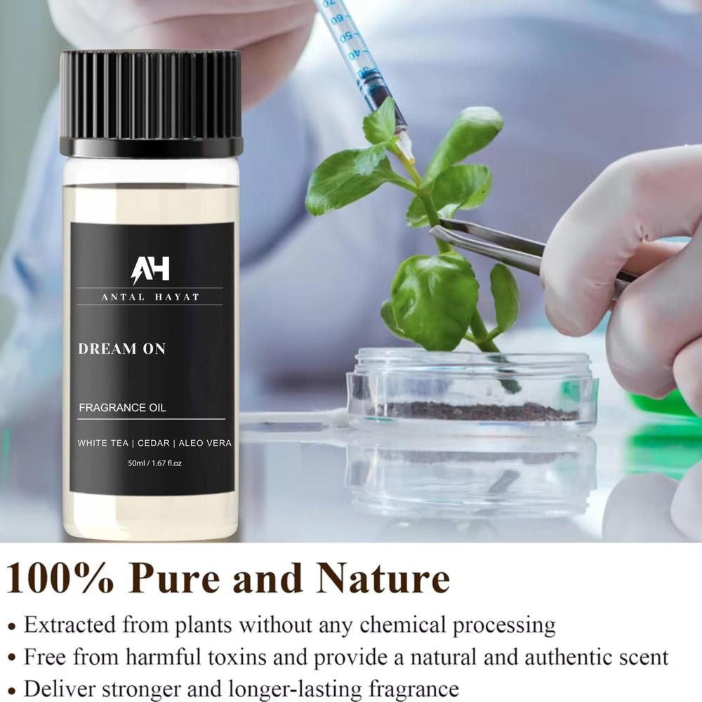 Living room scene with Dream On for a luxurious, inviting scent.