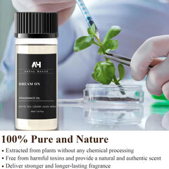 Living room scene with Dream On for a luxurious, inviting scent.