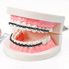 AQOYNQ brackets colocados en molde dental para práctica y demostración