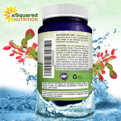 aSquared Nutrition cápsula abierta mostrando polvo fino de berberina