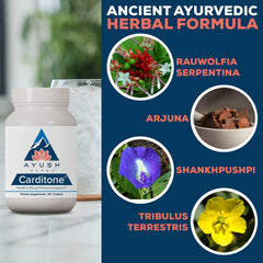 Ayush Herbs Carditone cápsula en mano para comparar tamaño y facilidad