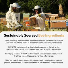BEE & YOU colmenas en Anatolia mostrando origen sostenible