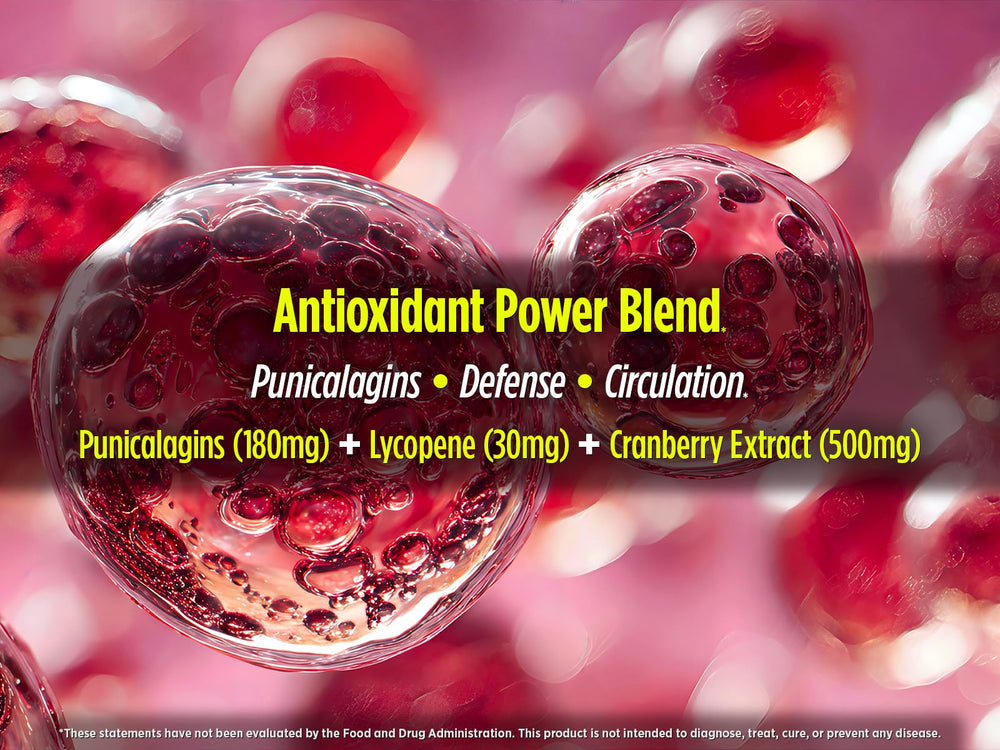 Biotest P-Well arándano 500 mg, extracto para apoyo urinario diario