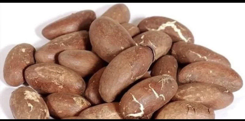 Bitter Kola Nut paquete frontal mostrando semillas, conserva sabor intenso