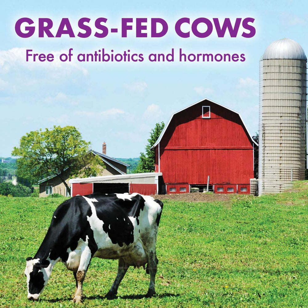 Bluebonnet proteina aislada lata original sin sabor lista para usar