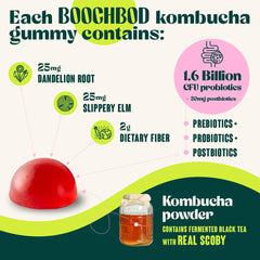 BoochBod comparación de tamaño en mano para visualizar porción real