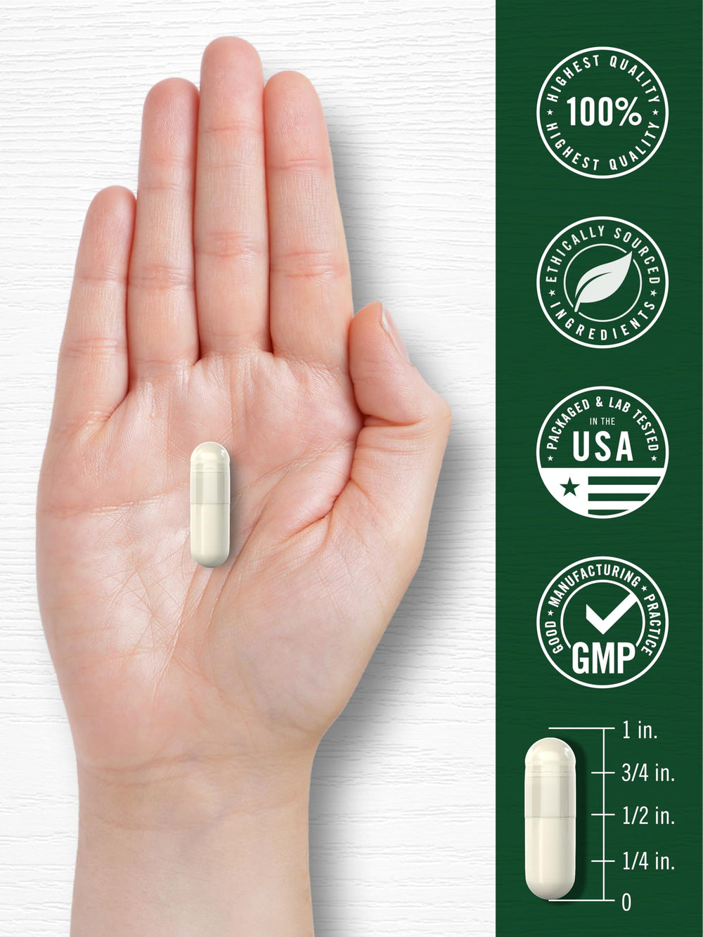 Carlyle uso rutina diaria ilustrando integración fácil en suplementos