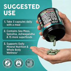 Clean Nutraceuticals cápsulas junto a algas que sugieren minerales marinos naturales
