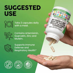 Clean Nutraceuticals ingredientes naturales como sea moss y raíces frescas