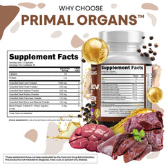 Clean Nutraceuticals cápsula en mano para comparar tamaño y facilidad de ingestión