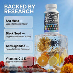 Cápsulas Clean Nutraceuticals en mano para comparar tamaño y dosificación