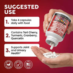 Clean Nutraceuticals cápsulas junto a una taza, uso fácil con comidas