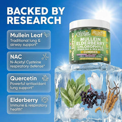 Clean Nutraceuticals disposición de ingredientes orgánicos destacando pureza