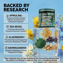 Clean Nutraceuticals polvo de sea moss mostrando textura y aporte mineral natural