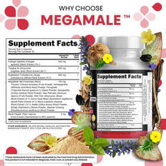 Clean Nutraceuticals mano sosteniendo cápsulas para mostrar dosis diaria práctica