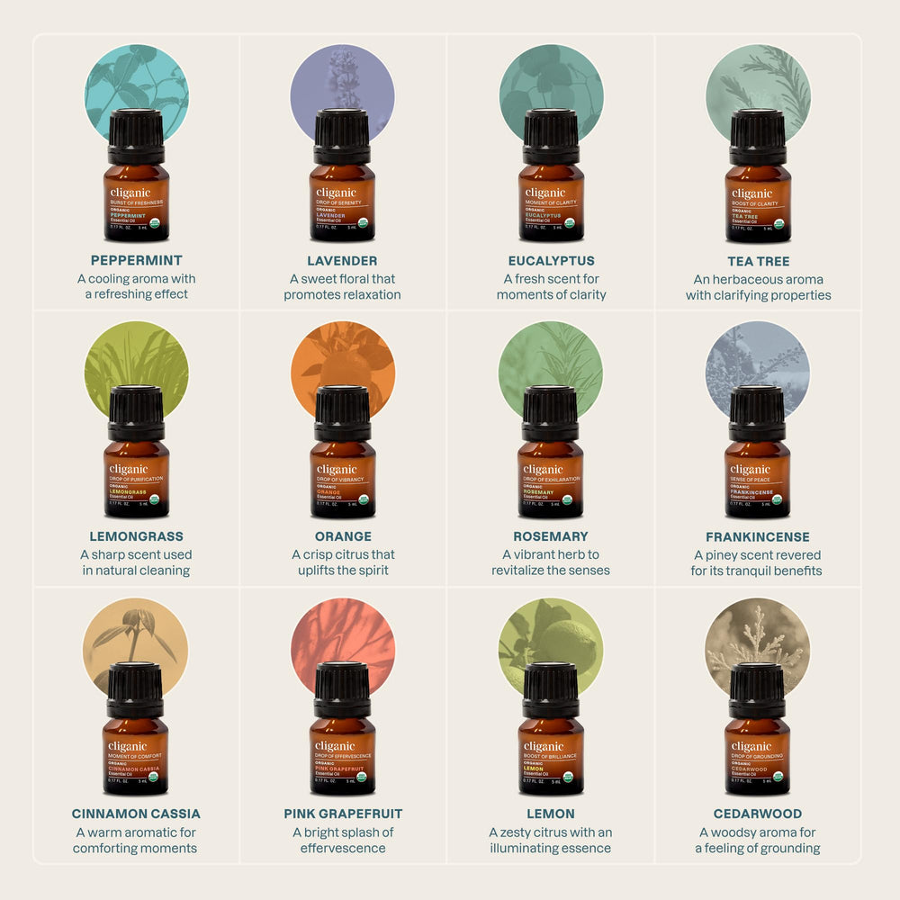 Cliganic árbol de té: purifica espacios pequeños y cuida del ambiente.