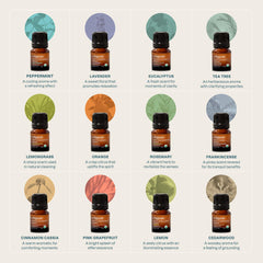 Cliganic árbol de té: purifica espacios pequeños y cuida del ambiente.