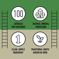 Complete Natural Products enviroment con plantas y luz natural, transmite origen orgánico
