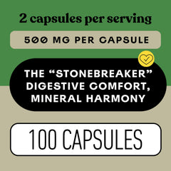 Complete Natural Products cápsula en mano para comparar tamaño y dosificación práctica