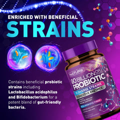 Bifidobacterium de Construido por la Naturaleza para equilibrio de flora intestinal.