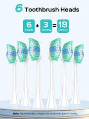 COSLUS C40 montaje con seis cabezales, kit familiar para uso prolongado