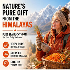 Daily All Day bayas de espino amarillo del Himalaya como origen natural