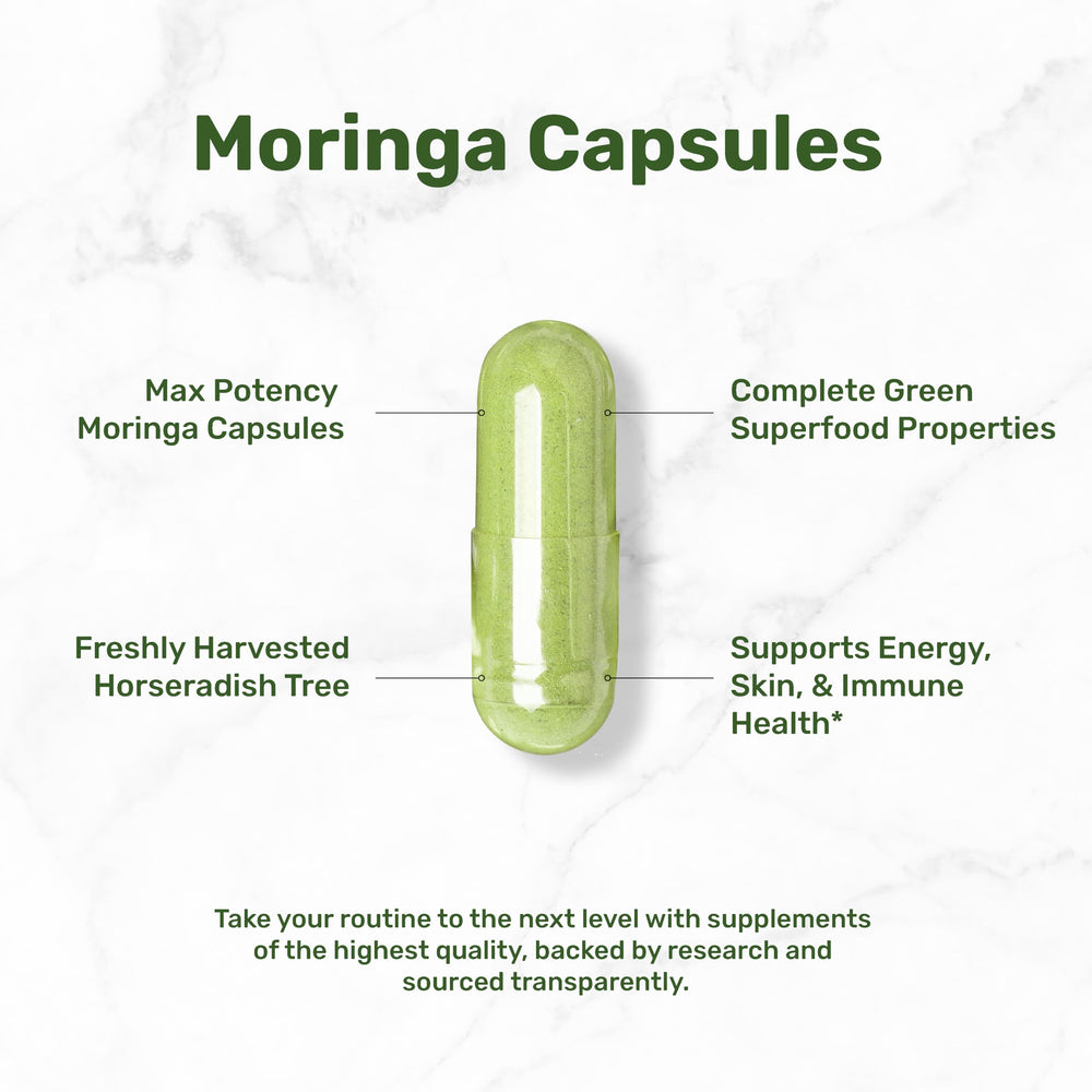 DEAL SUPPLEMENT polvo de moringa mostrando textura concentrada