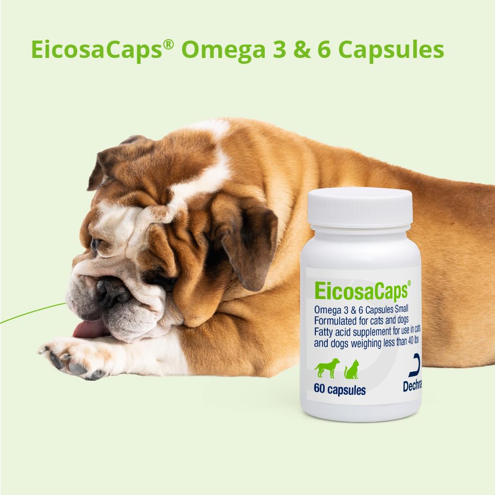 Dechra EicosaCaps mascota con pelaje brillante beneficiada por ácidos grasos esenciales