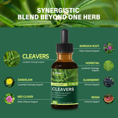 DetoxenNATURE detalle de etiqueta con lista de plantas y pureza