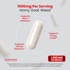 DORADO NUTRITION cápsula junto a moneda para comparar tamaño