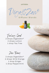 doTERRA DigestZen junto a monedas y llaves para comparar tamaño portátil