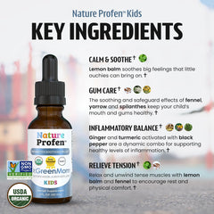 Selección de hierbas orgánicas usadas en Dr. Green Mom para apoyo natural
