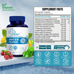 DR VITAMIN SOLUTIONS diente de león, té verde y arándanos como ingredientes naturales