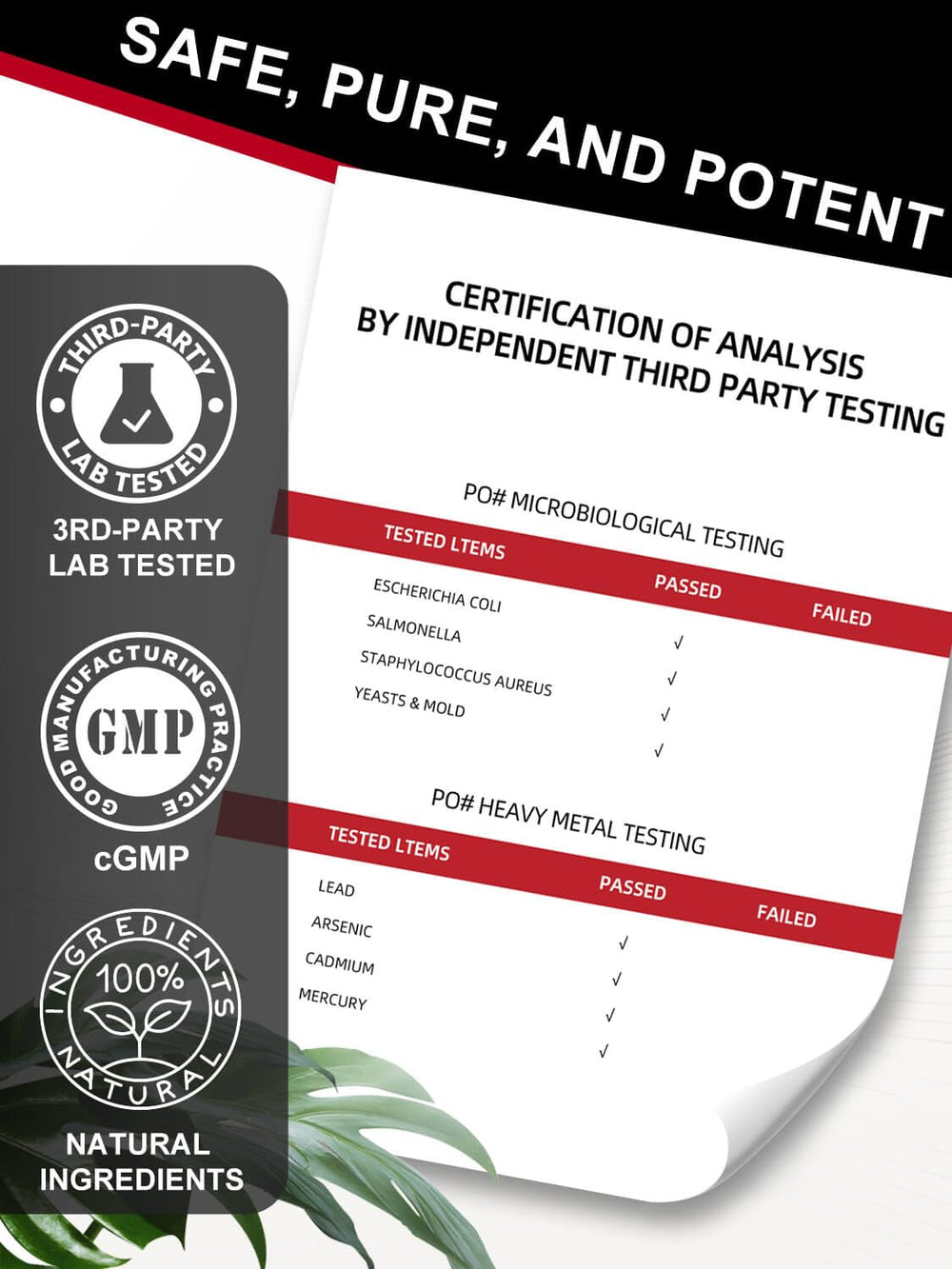 DRFOSTER CoQ10 puede apoyar salud cardíaca y energía.