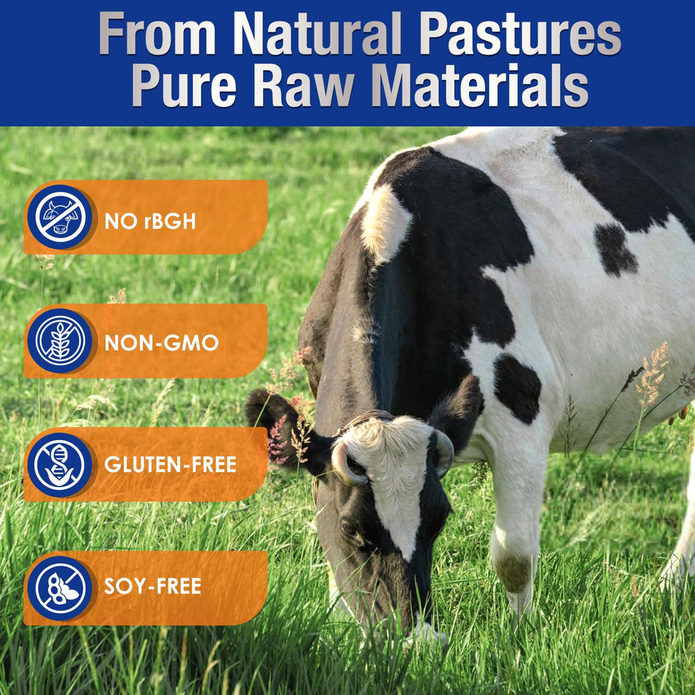 DRFOSTER Whey Isolate etiqueta nutricional clara para planificar comidas.